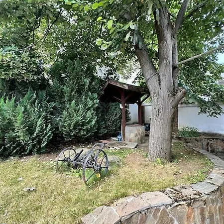 Casa de Férias Lea House With Swimming Pool In Vitosha Mountain *